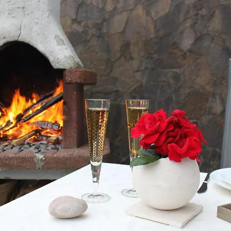 Steber Monika Vandans